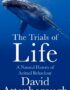The trials of life