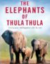 The elephants of Thula Thula