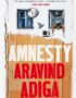 Amnesty