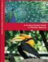 India Birds