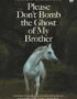 Please don't bomb the ghost of my brother