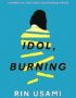 Idol, burning