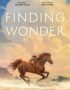 Finding wonder