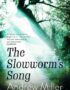 The slowworm's song