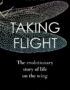 Taking flight