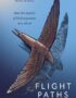 Flight paths