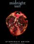 Midnight Sun