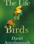 The life of birds