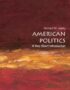 American Politics