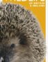 Wildlife of Britain and Ireland
