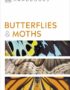 Butterflies and moths