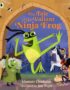 The Tale of the Valiant Ninja Frog