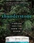 Thunderstone