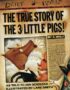 The true story of the 3 little pigs