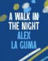 A walk in the night