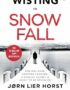 Snow fall