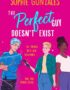 The perfect guy doesn't exist