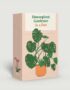 Houseplant Gardener in a Box