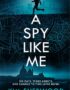 A spy like me