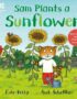 Sam plants a sunflower