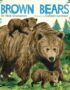 Brown bears