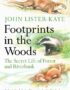 Footprints in the woods