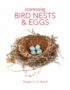 Interesting bird nests and eggs