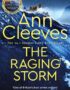 The raging storm