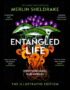 Entangled life