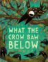 What the crow saw below