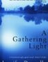 Gathering Light