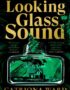 Looking glass sound