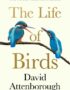 The life of birds