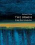 The Brain