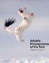 Wildlife Photographer of the Year: Highlights Volume 10