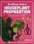 The ultimate guide to houseplant propagation