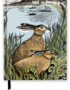 Angela Harding: Rathlin Hares (Blank Sketch Book)