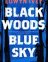 Black woods, blue sky