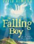 The falling boy