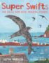 Super swifts