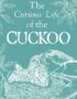 The curious life of the cuckoo
