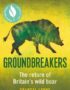 Groundbreakers