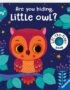 Are you hiding, little owl?