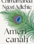 Americanah