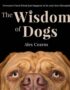 The wisdom of dogs
