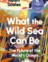 What the wild sea can be