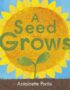 A seed grows