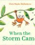 When the storm came