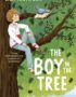 The boy in the tree