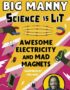 Awesome Electricity and Mad Magnets